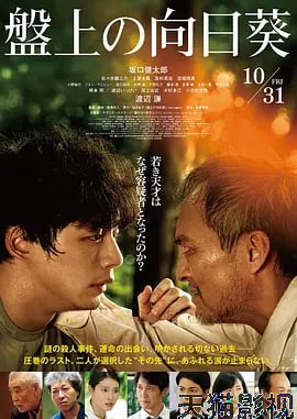 棋盘上的向日葵